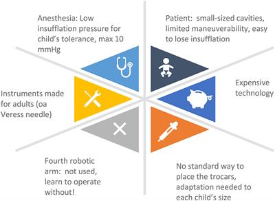 Pediatric Challenges in Robot-Assisted Kidney Transplantation